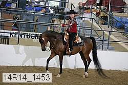 14r14_1453 proof