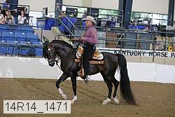 14r14_1471 proof