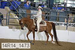 14r14_1473 proof