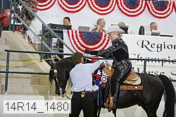 14r14_1480 proof