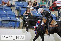 14r14_1483 proof