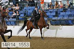 14r14_1553 proof