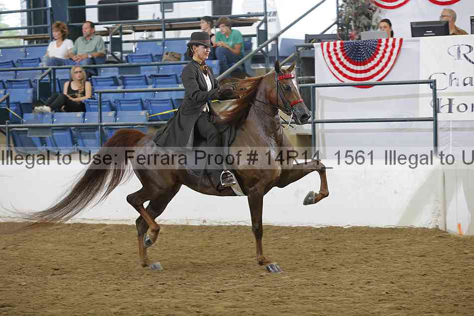 Proof 14r14_1561