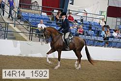 14r14_1592 proof