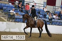 14r14_1593 proof