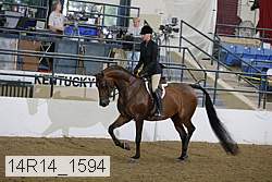 14r14_1594 proof