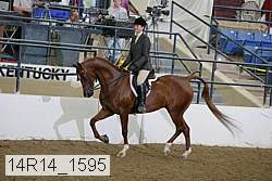 14r14_1595 proof