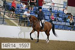 14r14_1597 proof