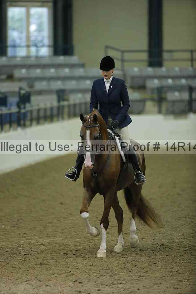 Proof 14r14_1599