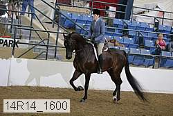 14r14_1600 proof