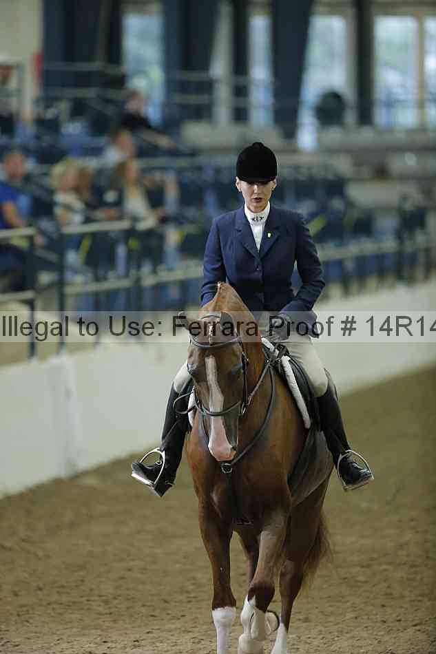 Proof 14r14_1601