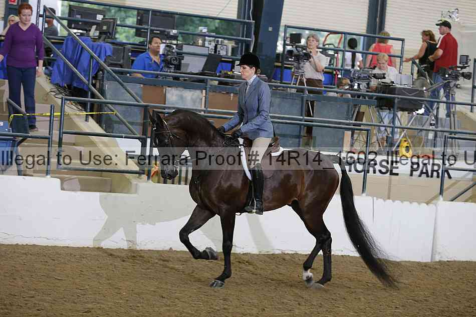 Proof 14r14_1602