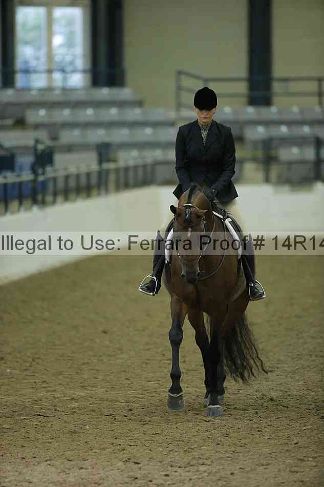 Proof 14r14_1603