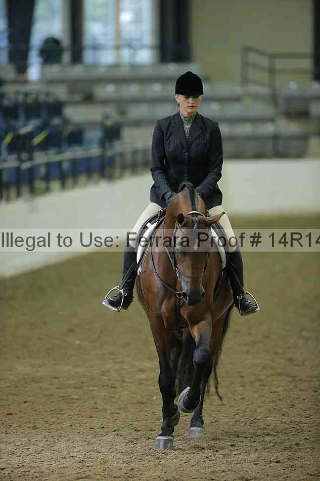 Proof 14r14_1604