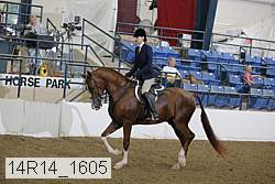 14r14_1605 proof