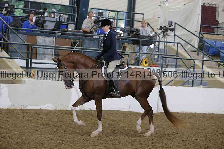 Proof 14r14_1606