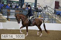 14r14_1606 proof