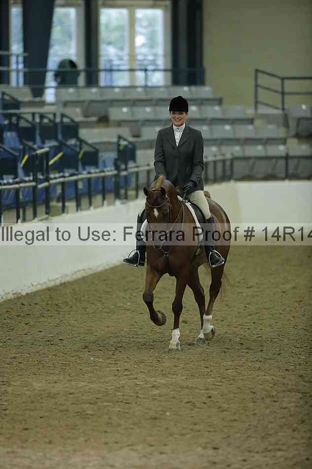 Proof 14r14_1607