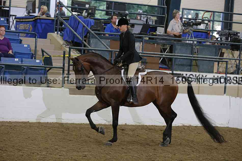 Proof 14r14_1609