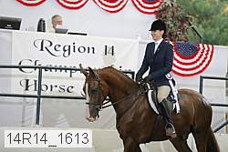 14r14_1613 proof