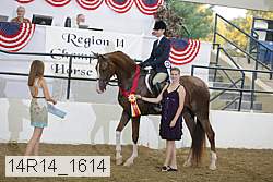14r14_1614 proof