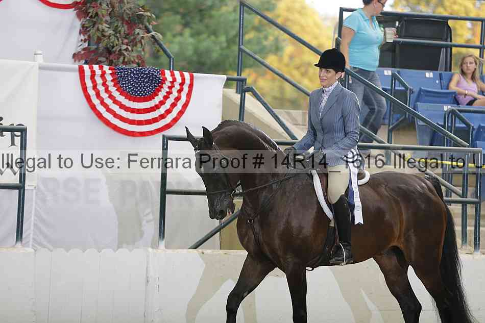 Proof 14r14_1616