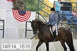 14r14_1616 proof