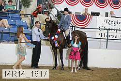 14r14_1617 proof