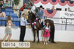 14r14_1618 proof
