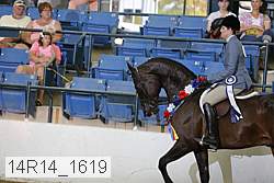 14r14_1619 proof