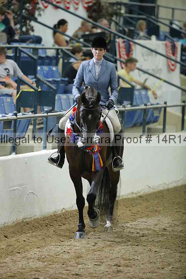Proof 14r14_1620
