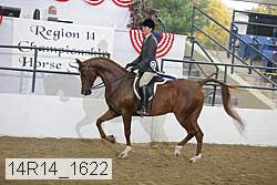 14r14_1622 proof