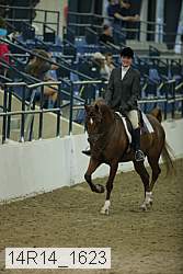 14r14_1623 proof
