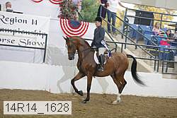 14r14_1628 proof