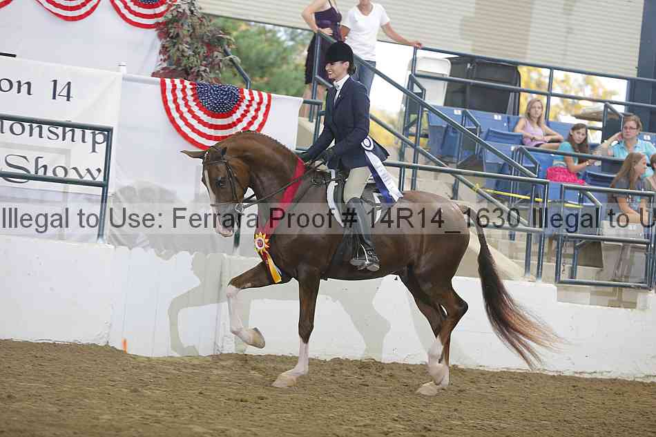 Proof 14r14_1630