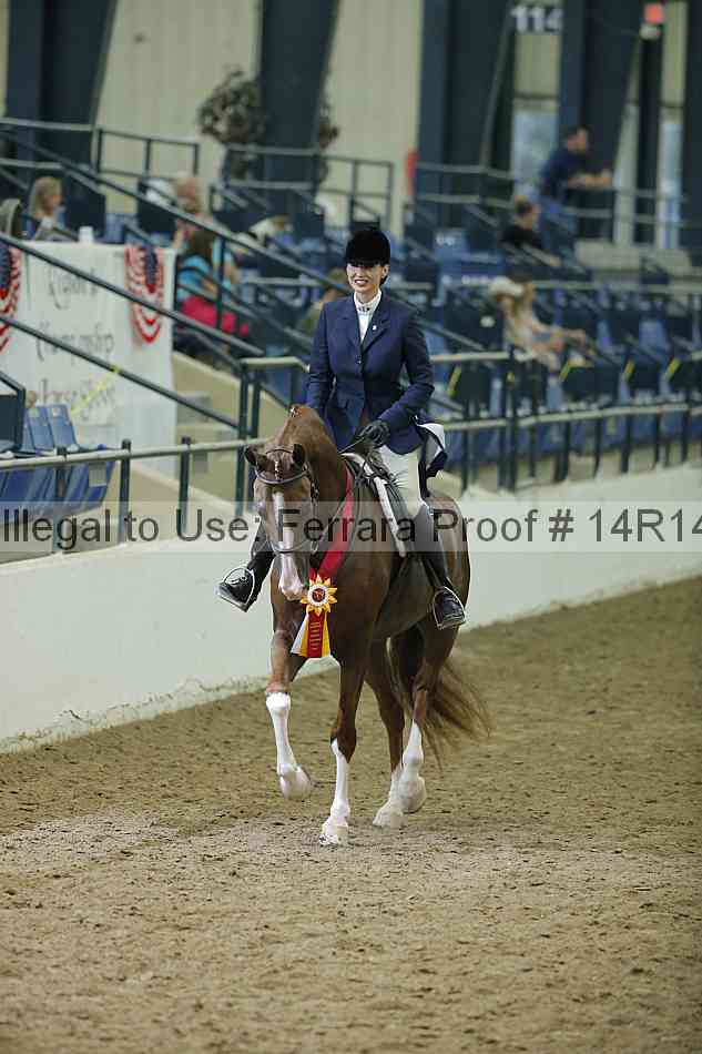 Proof 14r14_1633