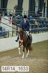 14r14_1633 proof