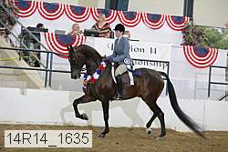 14r14_1635 proof