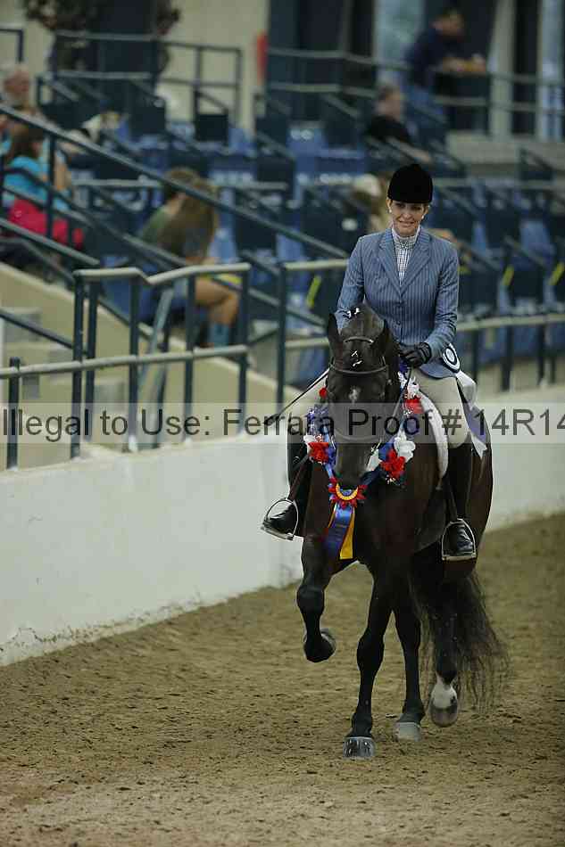 Proof 14r14_1637