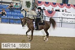 14r14_1663 proof