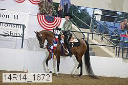 14r14_1672 proof