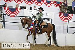 14r14_1673 proof