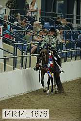 14r14_1676 proof
