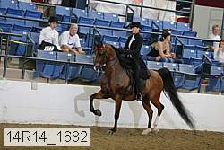14r14_1682 proof