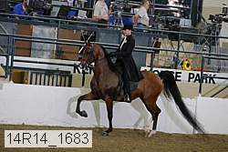 14r14_1683 proof