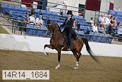 14r14_1684 proof
