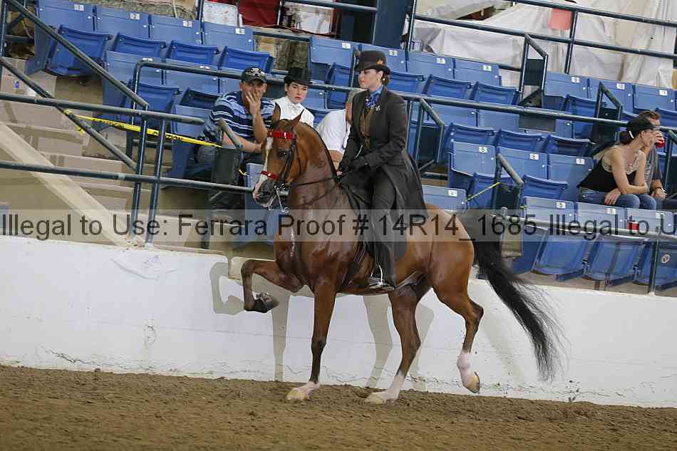 Proof 14r14_1685