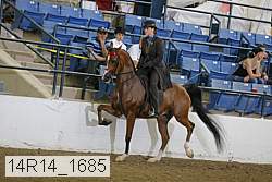 14r14_1685 proof