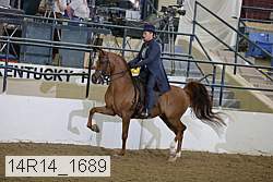 14r14_1689 proof
