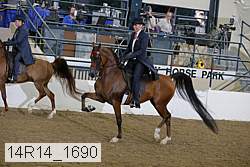 14r14_1690 proof